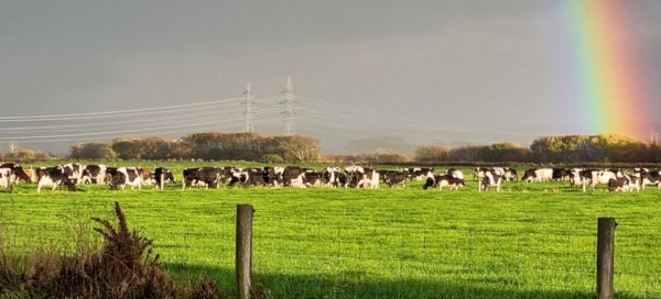 20210427 082022 Resized