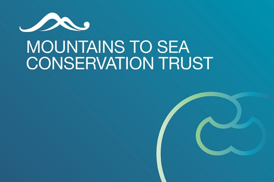 Bfea0145 New Sponsor Ntsct Tile A