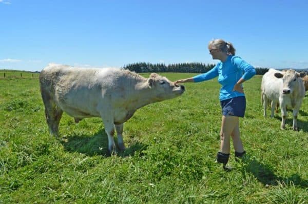 Sharon Patting Steer