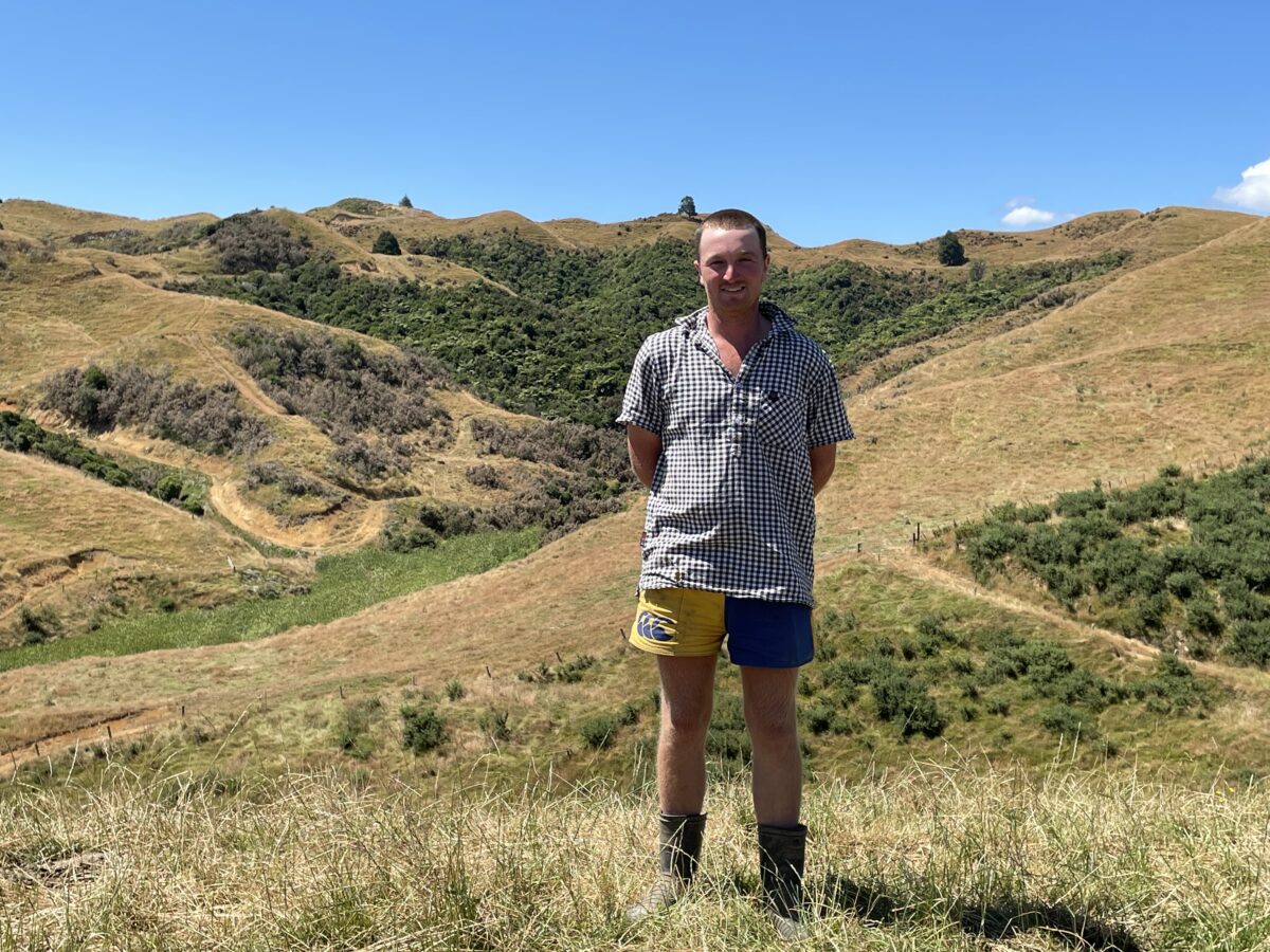 Waikato Bfea Regional Supreme Winner Tor Pedersen